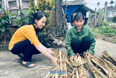 NỤ CƯỜI CỦA MẸ, HẠNH PHÚC CỦA CON
